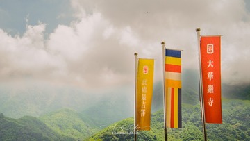 C081AF9E-2315-4FE1-86CE-C459B698E104/L0/001
