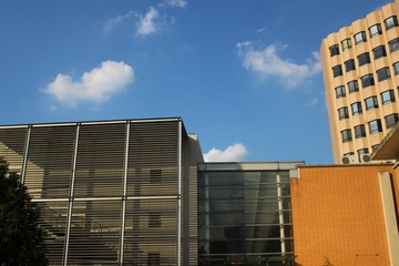 IMG_2195.JPG