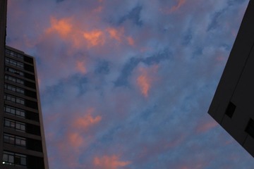 IMG_2672.JPG