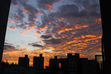 IMG_2677.JPG