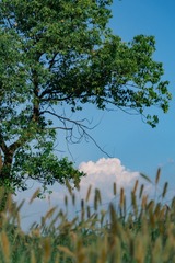 A278C27C-00F9-42FD-AFB0-D30854612B45/L0/001