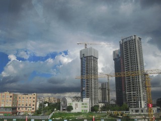 1000025117
