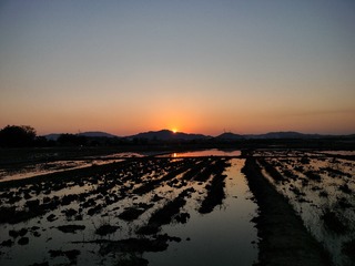 1000046144