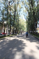 IMG_0927.JPG
