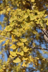 IMG_0946.JPG