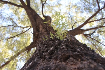 IMG_0858.JPG