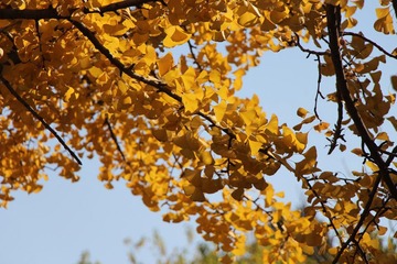 IMG_0916.JPG