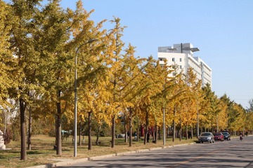 IMG_0943.JPG