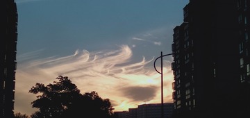 1000003184