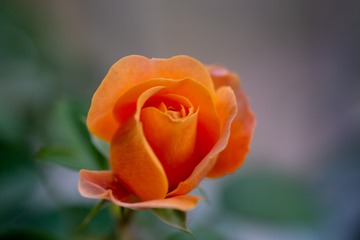 364497