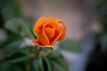 364498
