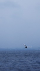 644691F5-0747-48E9-AA0F-504B9423E589/L0/001