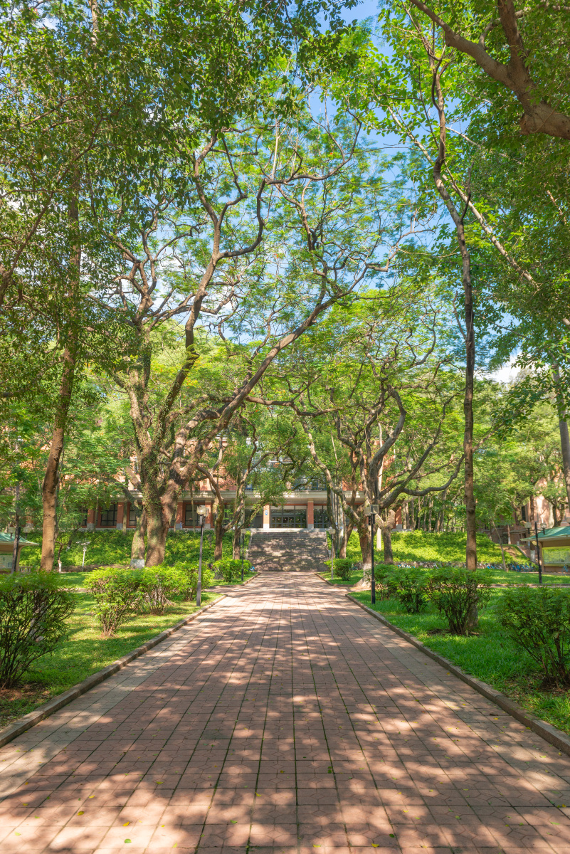 中山大学南校区岭南堂地环大楼松涛园