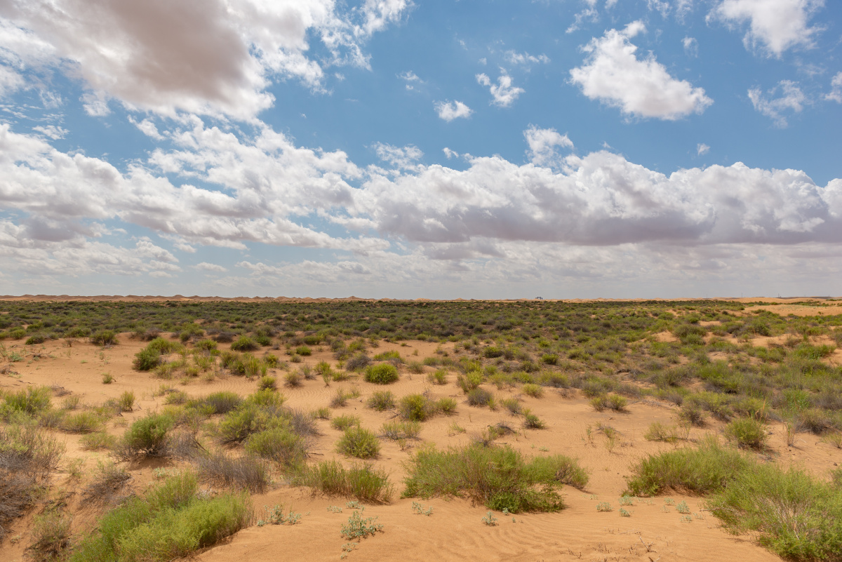 荒凉的腾格里沙漠