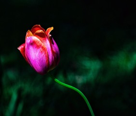 796654