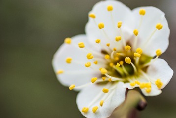 20130227-DSC_1113.jpg