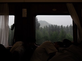 1000137203