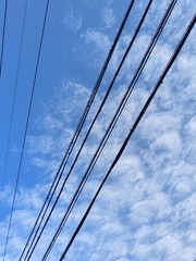 1000016811