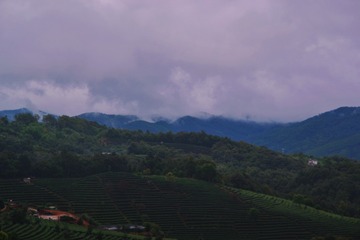 BCA75898-113F-4F01-B2A9-773491F1D23E/L0/001