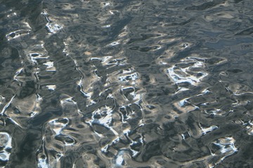 1000063431
