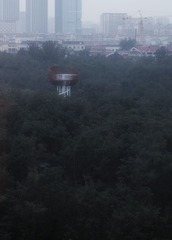 1000063777