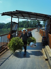 SDIM7428_1
