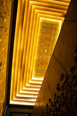 4E638EAE-9A7E-495D-8AC5-50A905AD6784/L0/001