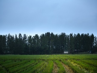 1000016891