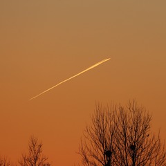 2632670