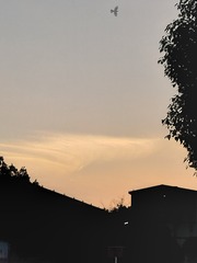 1000004042