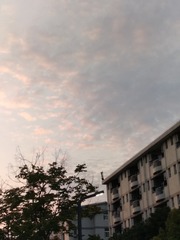 1000004043