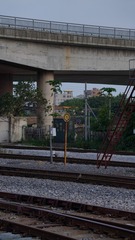 1000014646