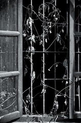 里面住着谁。这样的窗口。