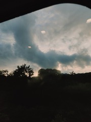 1000104361