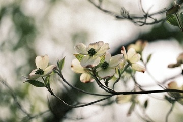 88524B7C-50D0-4151-A011-FD353531F1DB/L0/001