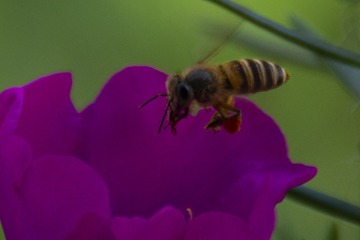 50F7AC47-A0CA-417E-8968-061B5131E7A3/L0/001