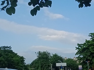 3988655