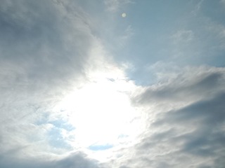 3988657