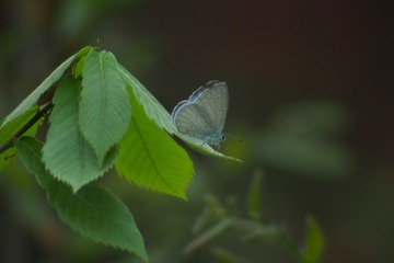 19921