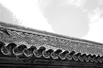 DSC_6564.JPG