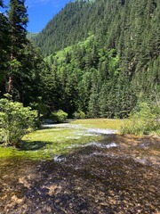 IMG_3262