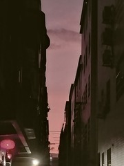 1000002443