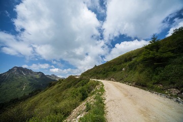 IMG_2933.jpg