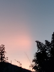 1000005272