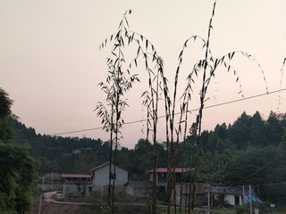 1000003492