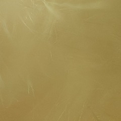 1000077474