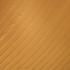 1000077470