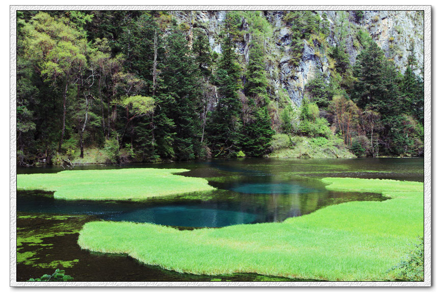 九寨-芳草海 br />