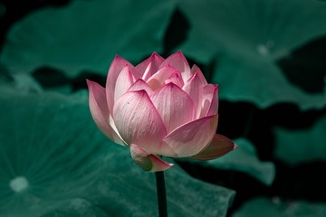 001