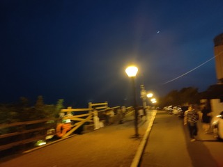1000008061